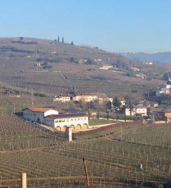 Az. Agr. Le Mandolare