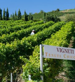Tenuta Chiccheri