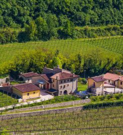 Azienda Agricola Coali Tenuta Savoia