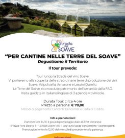 Per Cantine – Wine Tours