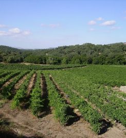 Cantina Pedres