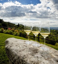 Per Cantine – Wine Tours