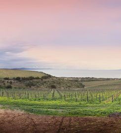 Tenuta Asinara