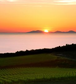 Tenuta Asinara