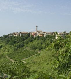 Vanzini