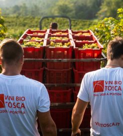 Azienda Agricola Tosca