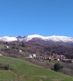 Azienda Agricola Tosca