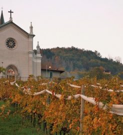 Azienda Agricola Tosca